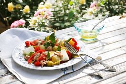 A plate of Mediterranean antipasti with vegetables, tuna and egg