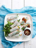 Fresh rice paper spring rolls (Vietnam)