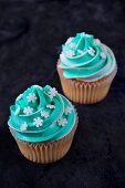 Cupcakes topped with mint icing