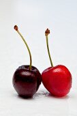 Pair of cherries