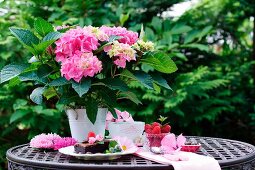 Pinkfarbene Hortensien im Topf und Dessertspeisen auf Gartentisch aus Metall