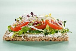 A crispbread with cucumbers, tomatoes and sprouts