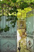 View of cat in courtyard with climber-covered pergola through open vintage metal gate