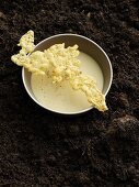 Cream of potato soup with a parmesan chip