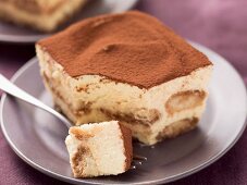 A piece of tiramisu on a plate with a fork