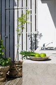 Concrete kitchen counter on terrace