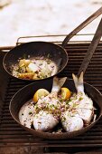 Barbecued fish in a pan on the barbecue