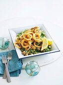 Calamari rings with amaranth