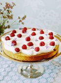 A summer cake with cream and raspberries