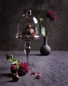 Chocolate truffles under a glass cloche