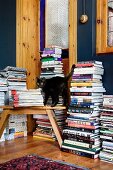 Black cat in front of tall stacks of books
