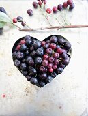 An aronia berry heart