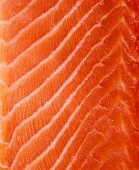 Raw salmon fillet (full frame)