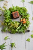 A wreath of maple leaves with a wooden cube