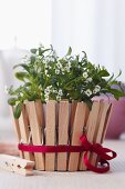 Plant pot decorated with clothes pegs & satin ribbon