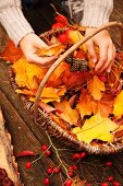 Hands of young girl and basket of collected autumn leaves and fruits