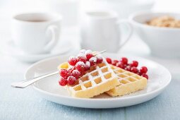 Waffeln mit roten Johannisbeeren und Puderzucker