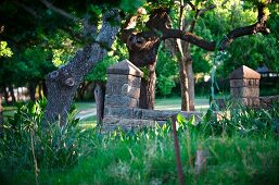 Stone wall with pillars and old trees; meadow in foreground