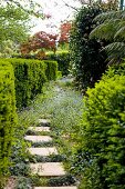 Eingewachsener, idyllischer Gartenweg mit einzelnen Trittplatten zwischen geschnittener Hecke und freiwachsenden Gehölzen