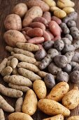 Assorted types of potatoes on a wooden surface