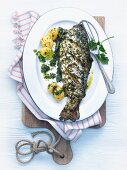 Odenwald salmon trout with herb sauce and boiled potatoes
