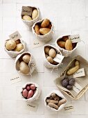 Assorted potato varieties in burlap bags with name cards