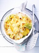 Savoy cabbage-salmon gratin with potatoes