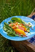 Summer citrus fruit salad