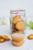 Coconut cakes and madeleines in a jar