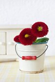 Bellis in dolls' house tin bucket used as vase in front of sideboard on cloth