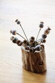 Dried poppy seed heads in hollow log on table
