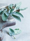 A sprig of sage in a silver bowl