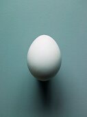 Ein Ei der Hühnerrasse Araucana