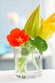 Nasturtiums and courgette flowers in a water glass