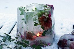 Ice lantern containing frozen flowers on snowy ground