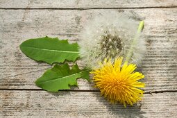 A dandelion flower, a dandelion clock and leaves on a wooden surface