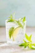 Gin & tonic with lemon verbena