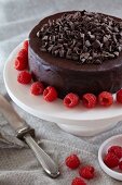 Chocolate Ganache Cake with Chocolate Curls and Raspberries