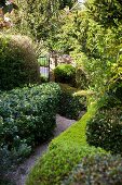 Enchanting, secretive gravel path surrounded by hedges and trees leading to garden gate