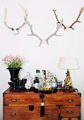 Mini bar on antique chest of drawers below hunting trophies on wall