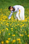 Woman dressed in white in field full of dandelions picking flowers for a head wreath