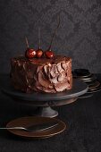 Chocolate cake with chestnut cream