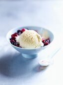 Vanilla ice cream with berry sauce