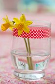 Two daffodils in glass with decorative masking tape