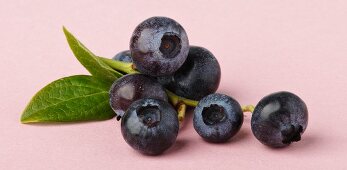 Blueberries on the stalk with a leaf