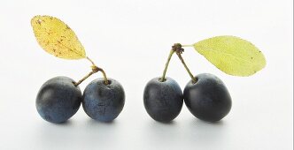 Two pairs of damsons