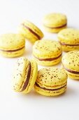Yellow macaroons with chocolate and passion fruit