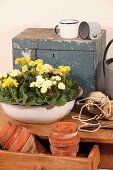 Clay flower pots in open drawer and bowl of spring flowers in front of vintage chest
