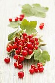 Redcurrants with leaves in a leaf-shaped bowl