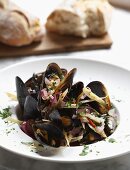 Mussels in a vegetable wine broth